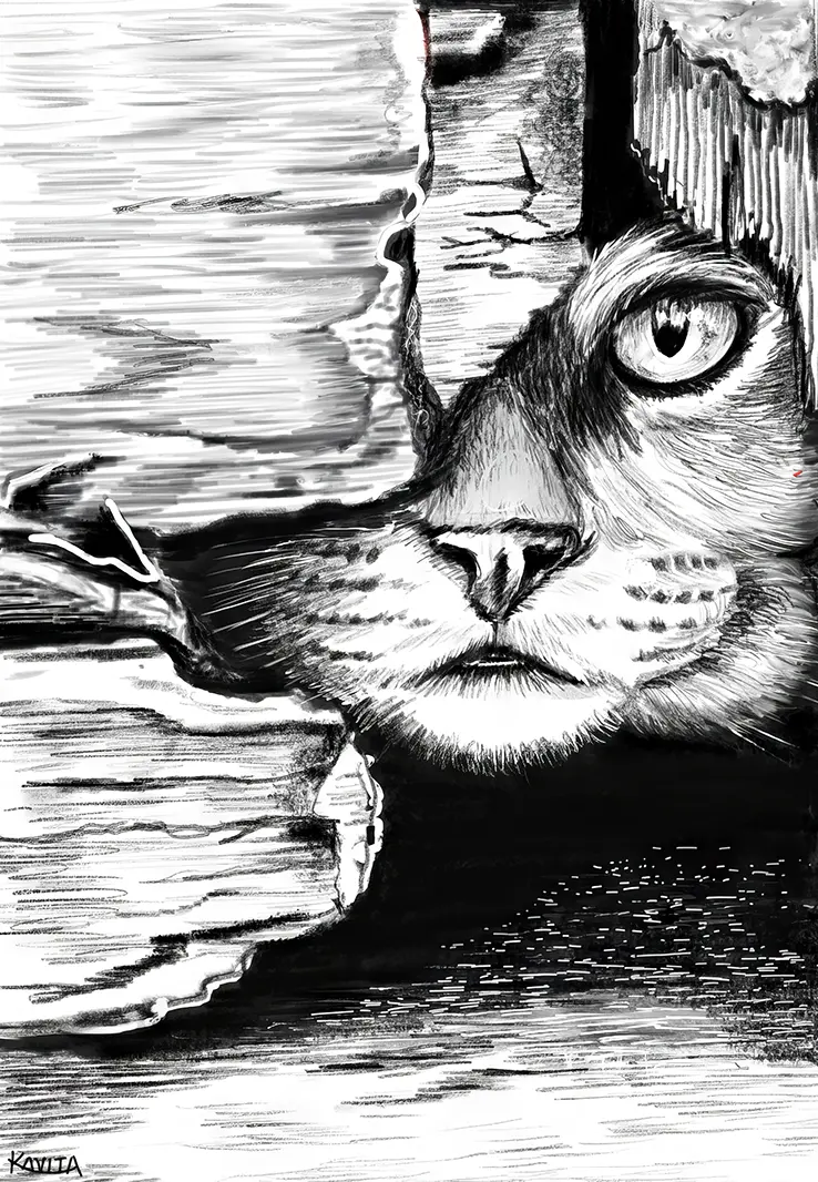 Detailed pencil portrait of a cat drawn by an art student showing realistic fur textures and shading