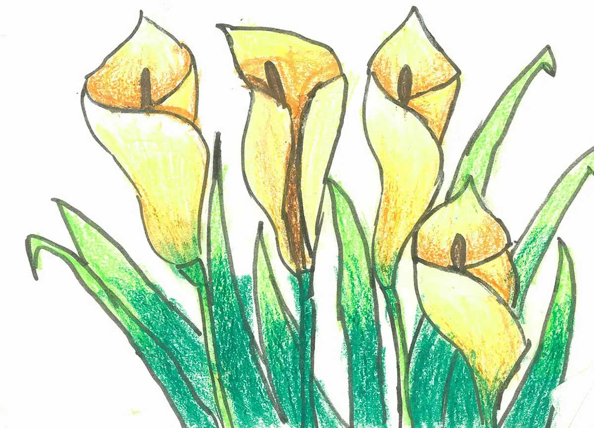 Pastel drawing of flowers